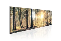 Bilde Autumn Retreat 150x50