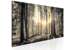 Bilde Forest Sun 150x50