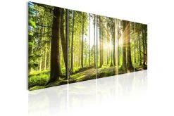 Bilde Sunlight 225x90