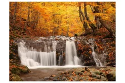 Fototapet Autumn Landscape Waterfall In Forest 200x154