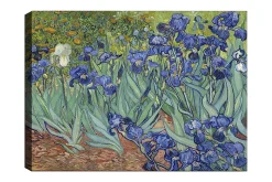 Lerretsbilde 70x100 cm - Fargerik samling av irisblomster i forskjellige blånyanser