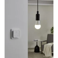Lyskilde 2xLM-ZIG-RGB/CCT E27 A60 9W Bryter