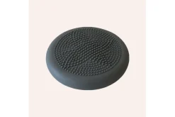 Oppblåsbar Balansepute Swedish Posture Pro